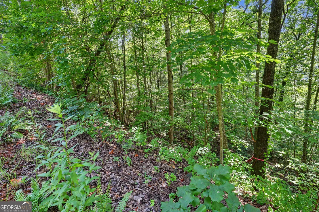 Photo of 0 Waterfall Drive 5D