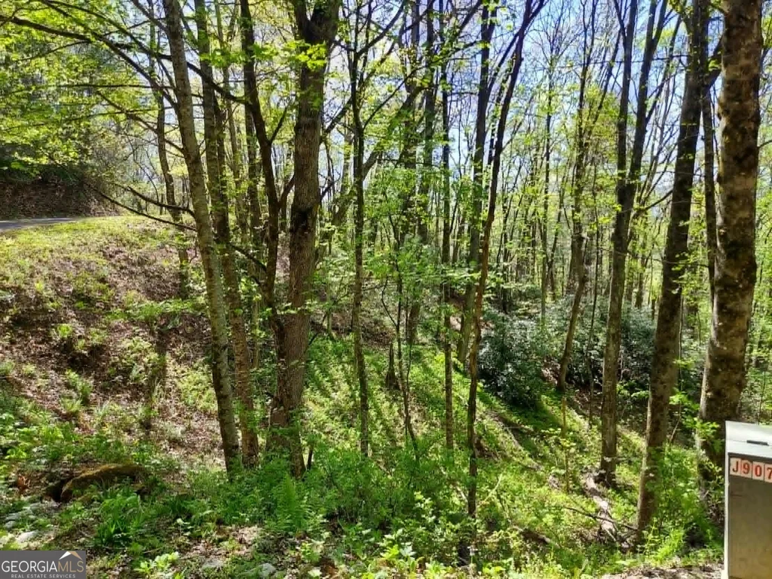 Photo of 0 LOT 40 Pipetrack Gap Road
