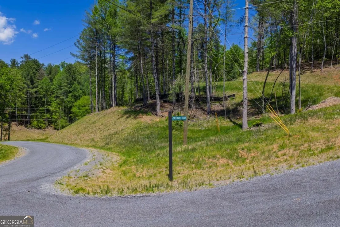 Photo of LOT 343 Shallow Branch Drive