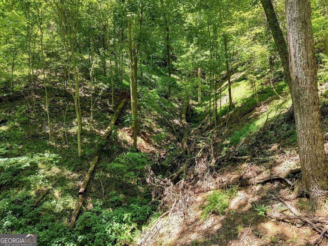 Photo of 107 Disharoon Drive