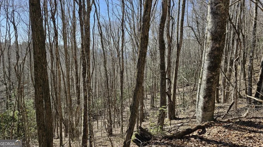Photo of 0 Highland Gap Road