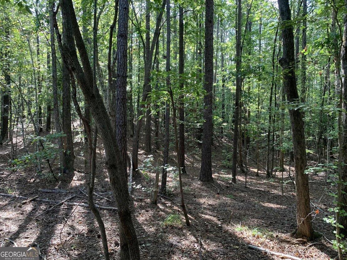 Photo of 0 Rivertown Road