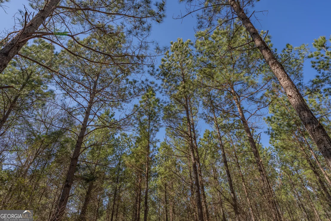 Photo of LOT 7 Golf Course Road