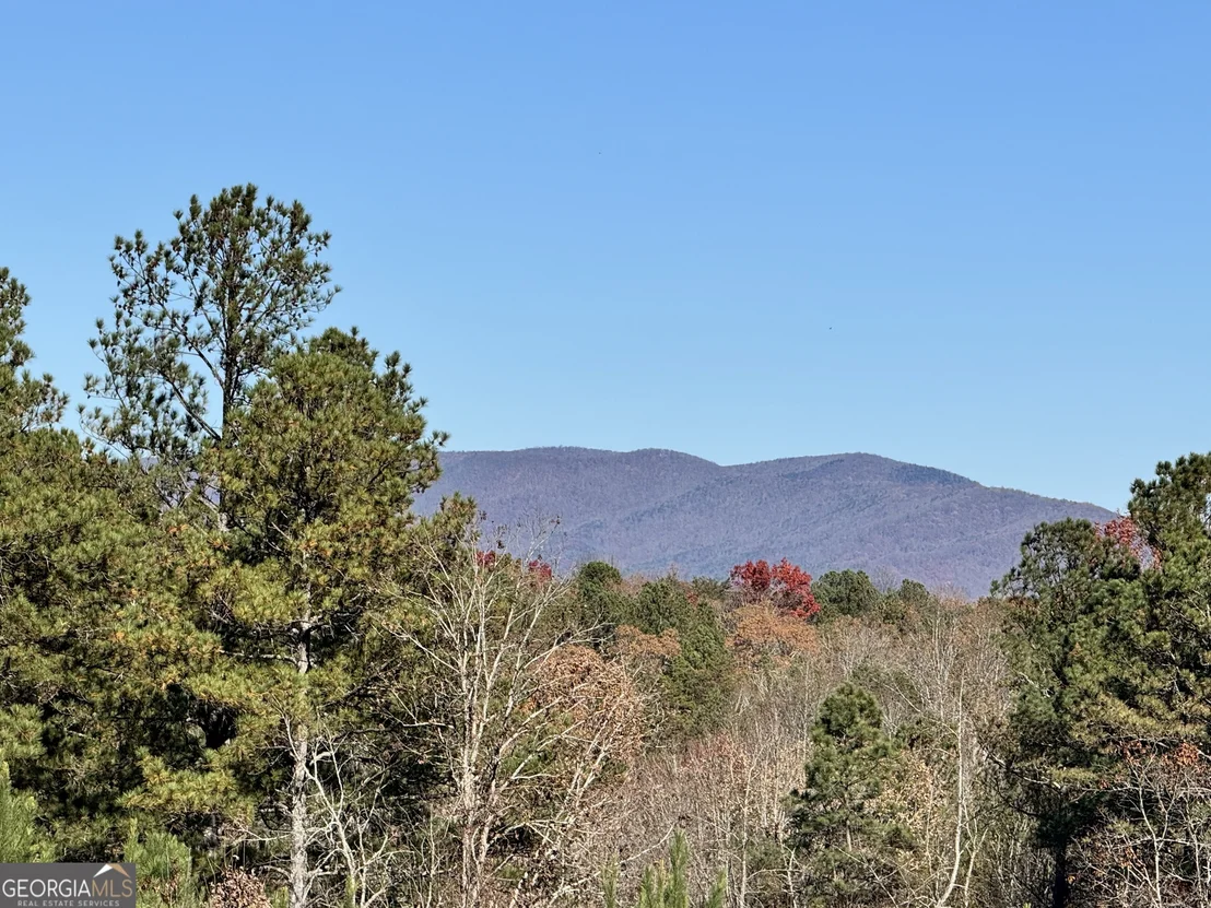 Photo of 61 Station Gap