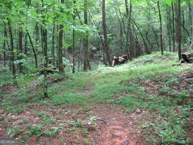 Photo of 6X Laurelwood