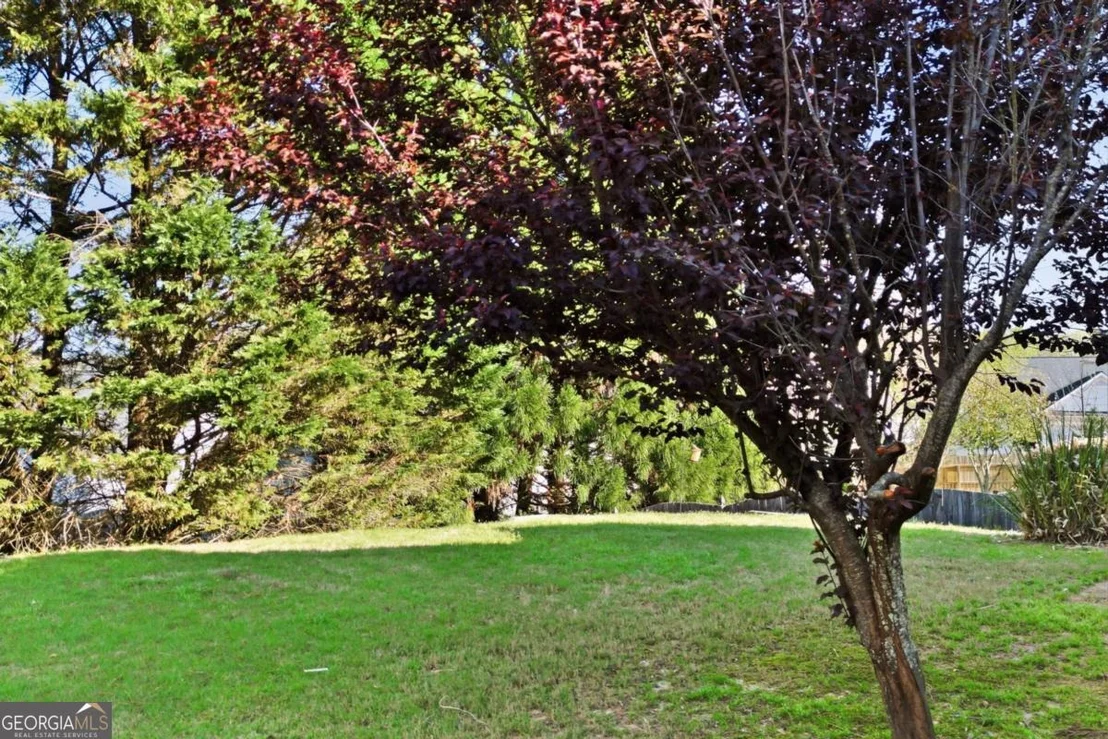 Photo of 407 Redwood Trail