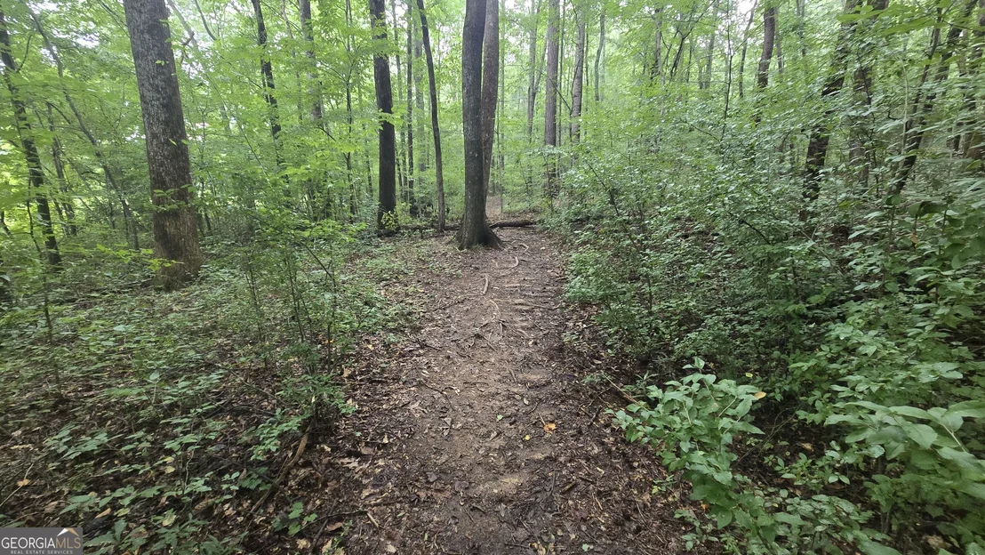 Photo of 3065 Smokey Road