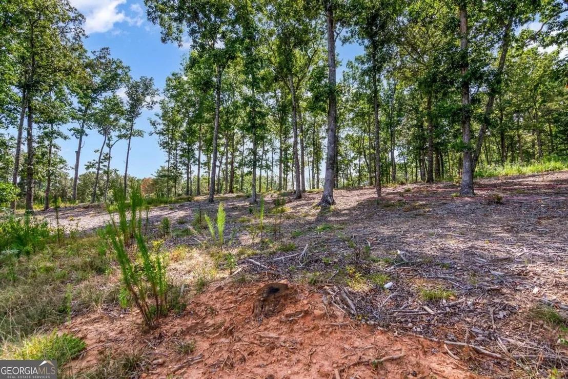 Photo of LOT 84 Ridge Drive