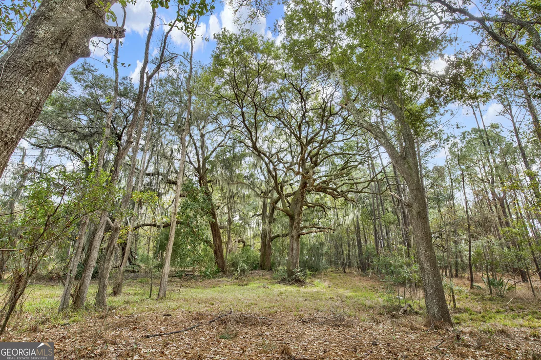 Photo of 199 Burton Road