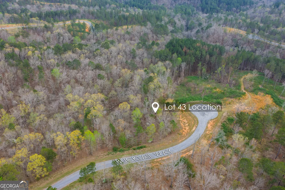 Photo of LOT 43 Bucktail Way
