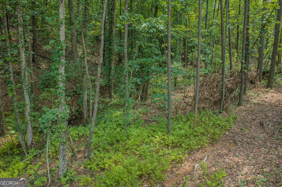Photo of LOT 63 Lacey Springs Lane