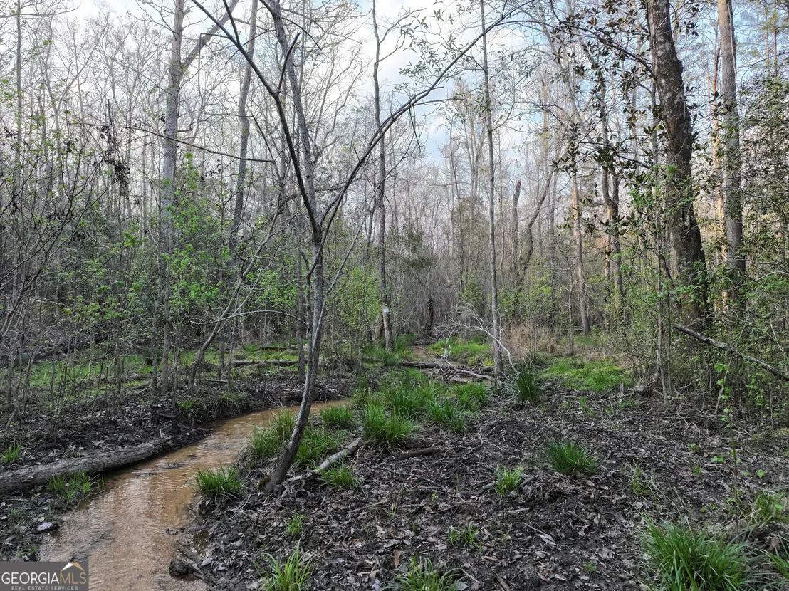 Photo of 195 County Line Road