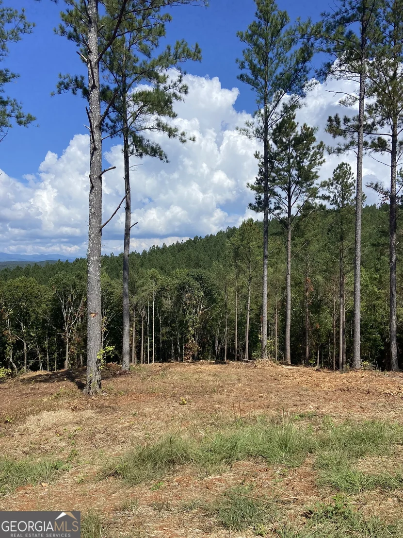 Photo of LOT 63 Lacey Springs Lane