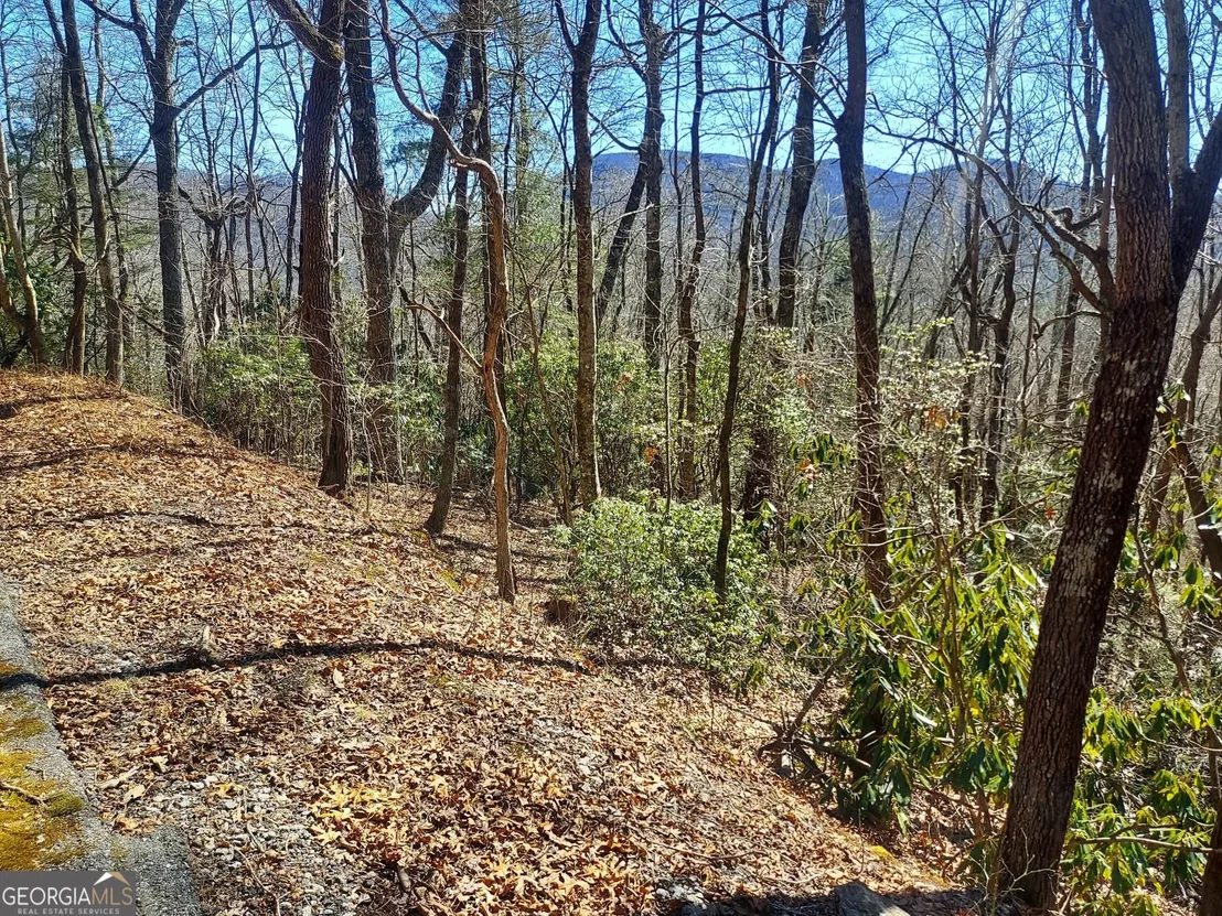 Photo of 0 LOT 41 Pipetrack Gap Road