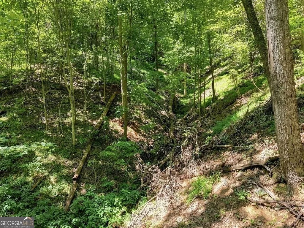 Photo of 107 Disharoon Drive