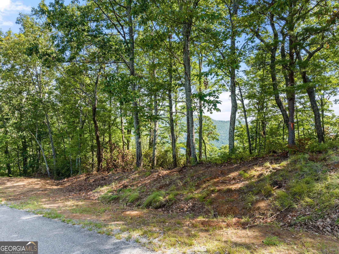 Photo of 347 Highlands Drive