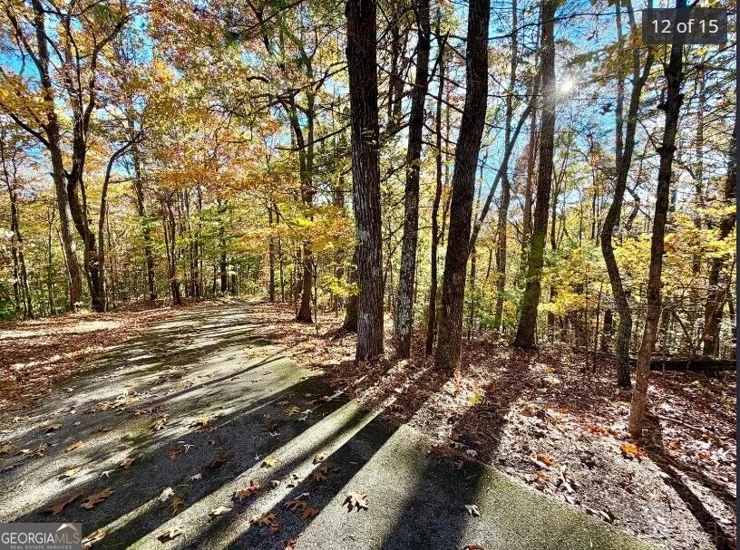 Photo of LOTS 12 &14 Crows Nest