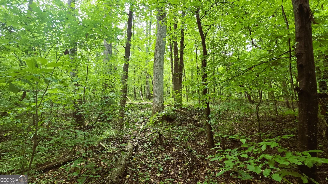 Photo of 3065 Smokey Road