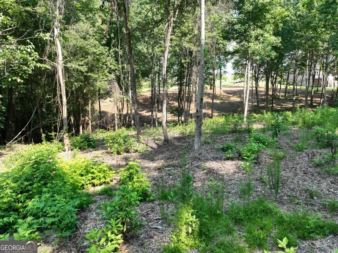 Photo of Unit LOT28 at 2789 Malcom Estates Ridge