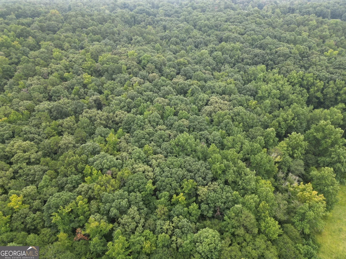Photo of 3065 Smokey Road
