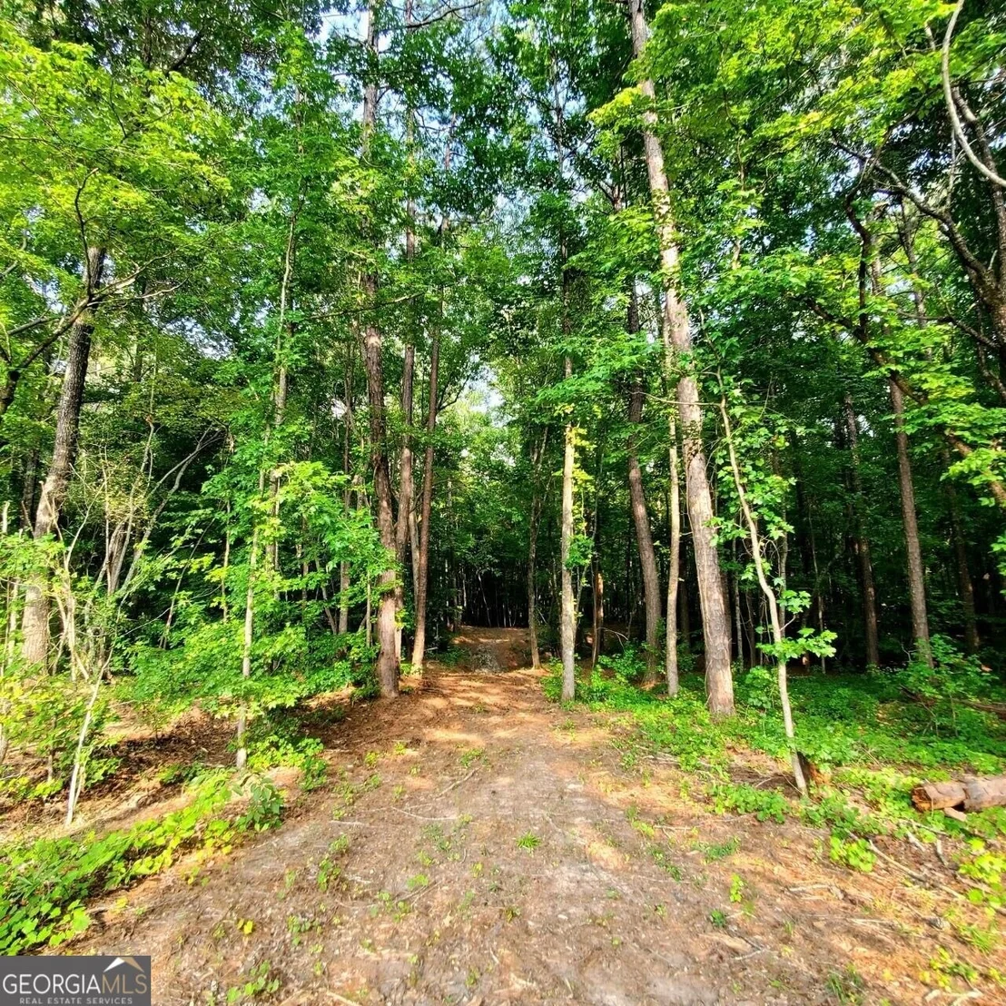 Photo of 259 Hawks Trail