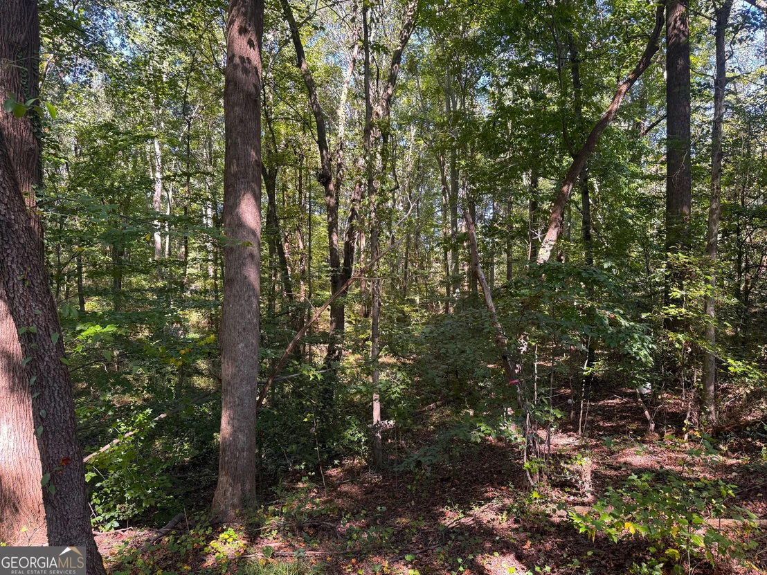 Photo of 186 Doyle Road
