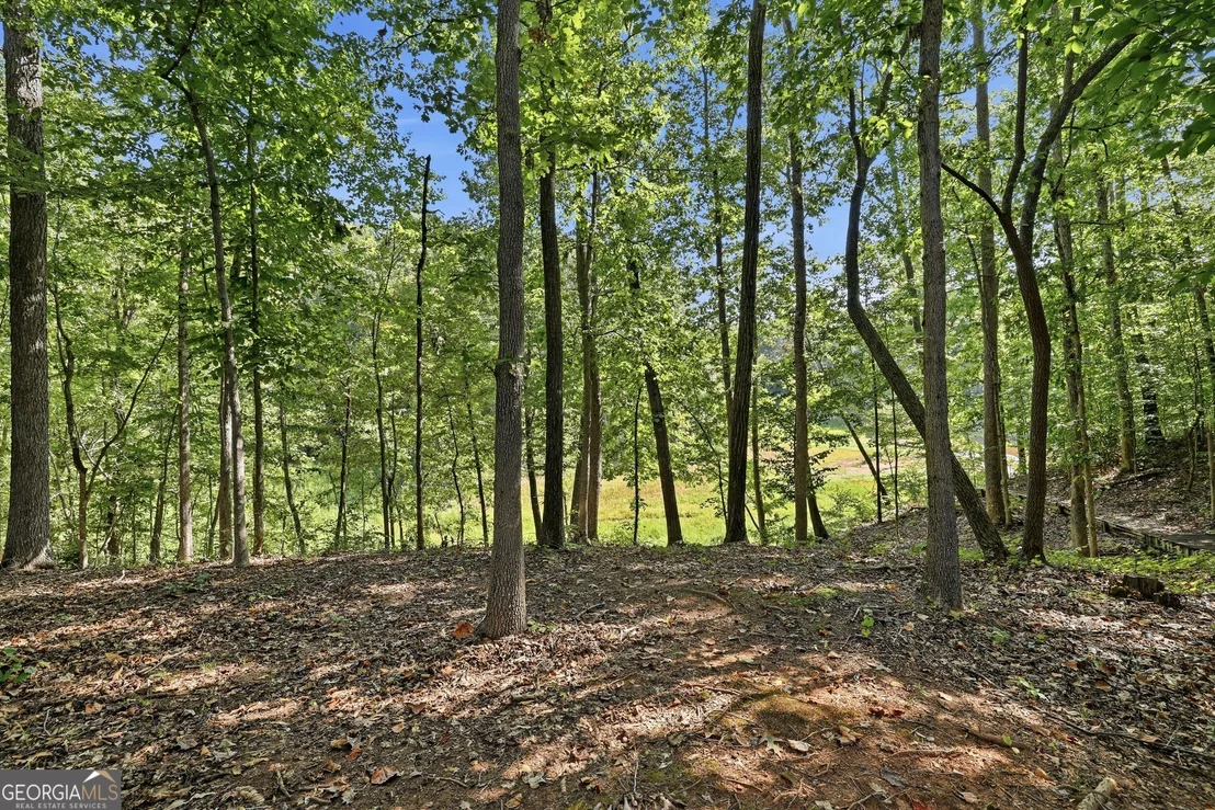 Photo of 1 Pine Needle Trail