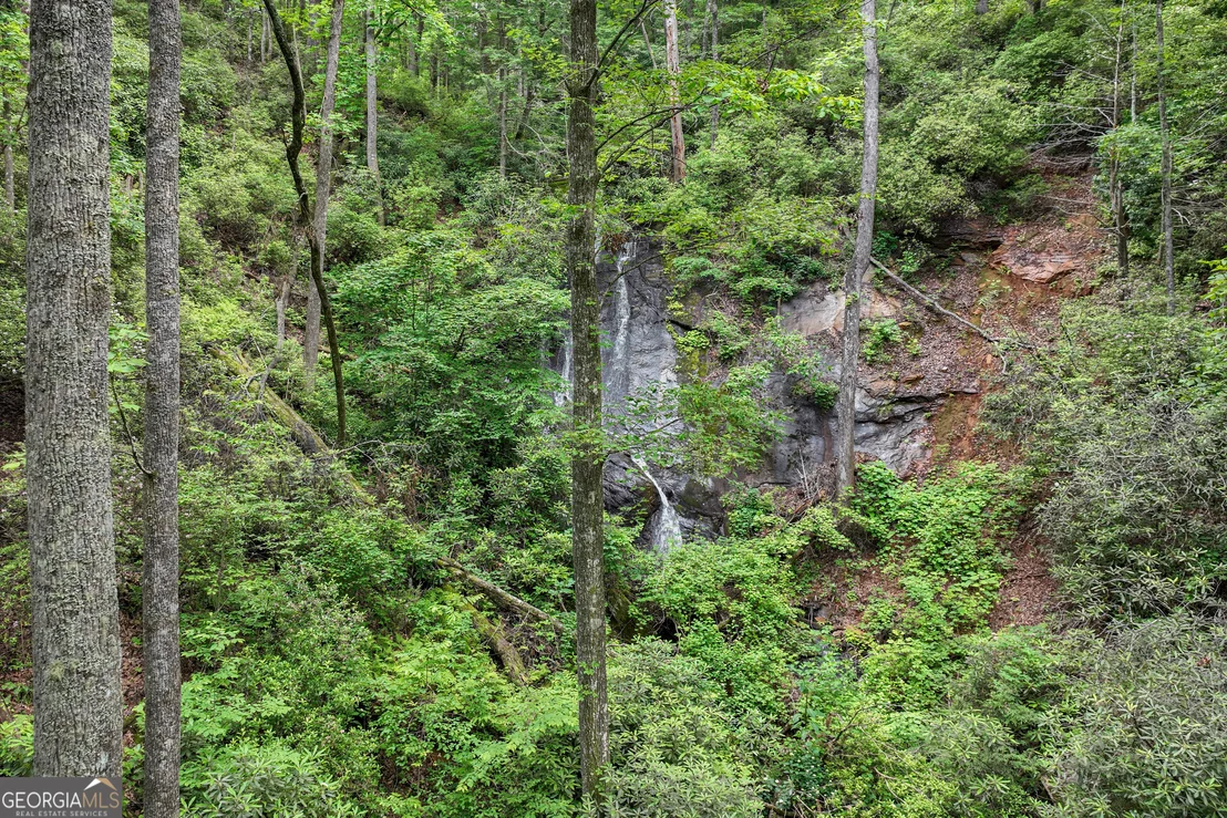 Photo of 2001 Chimney Mountain Flats Trail