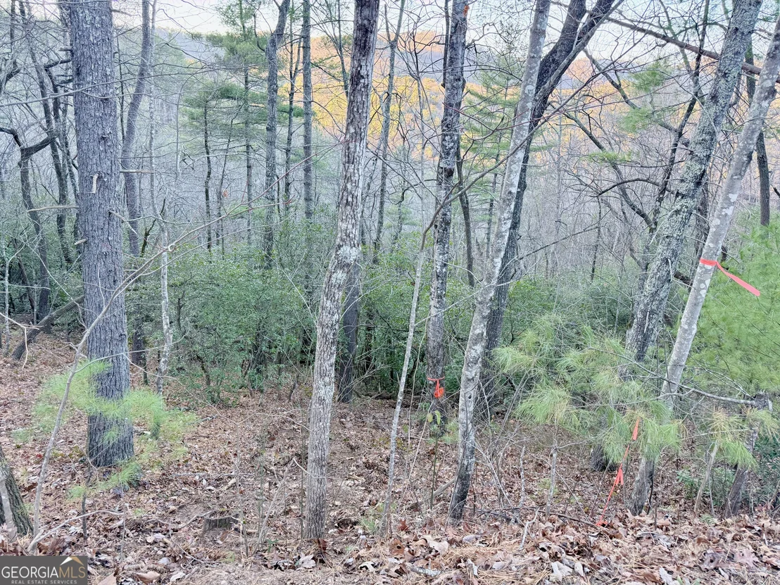 Photo of 0 Timber Bluff Drive