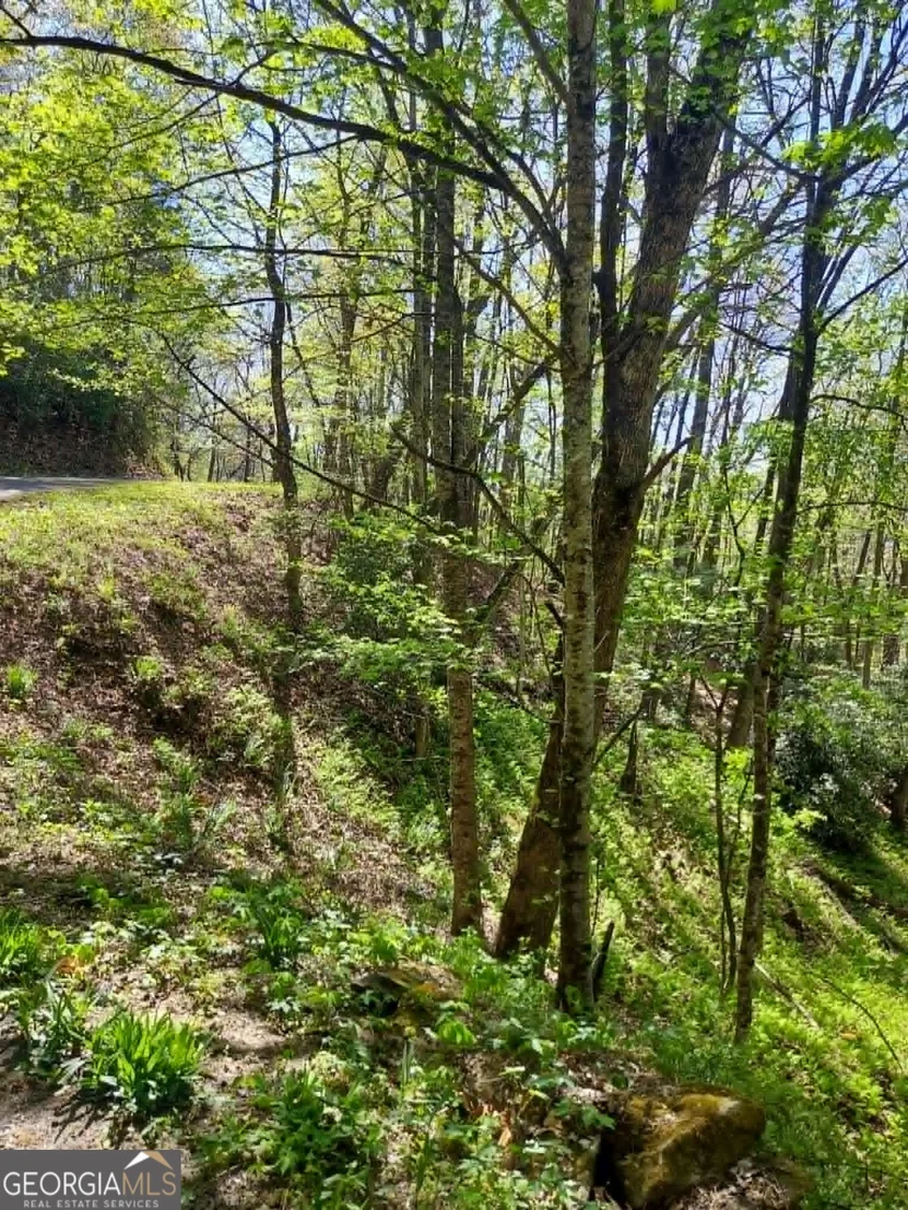 Photo of 0 LOT 40 Pipetrack Gap Road