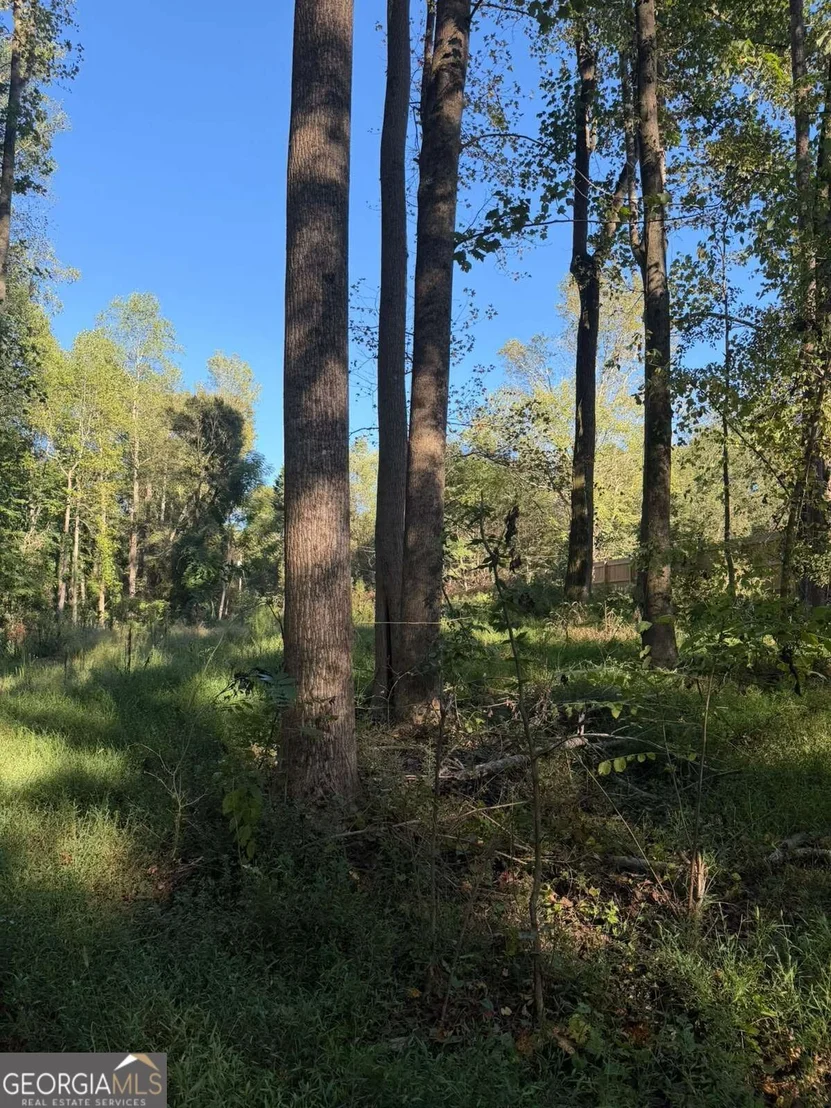 Photo of 92 Ida Pace Road