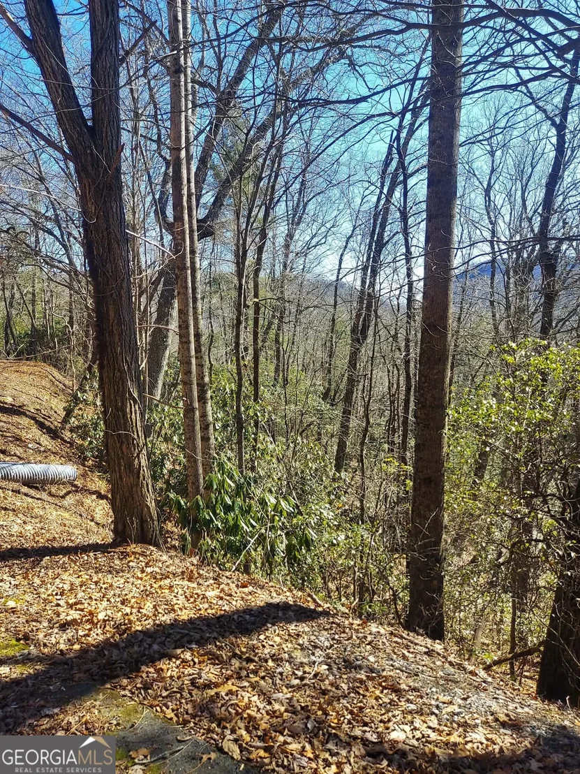 Photo of 0 LOT 41 Pipetrack Gap Road