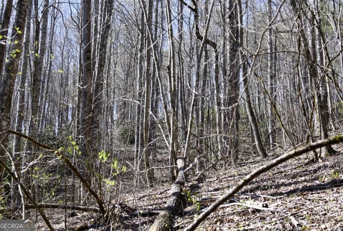 Photo of 0 Highland Gap Road