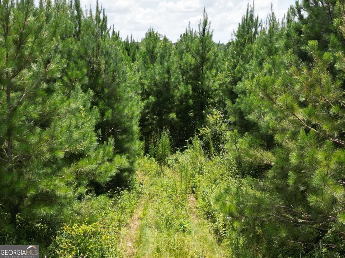 Photo of 0 East Highway 84 NE