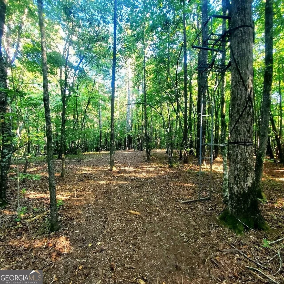 Photo of 259 Hawks Trail