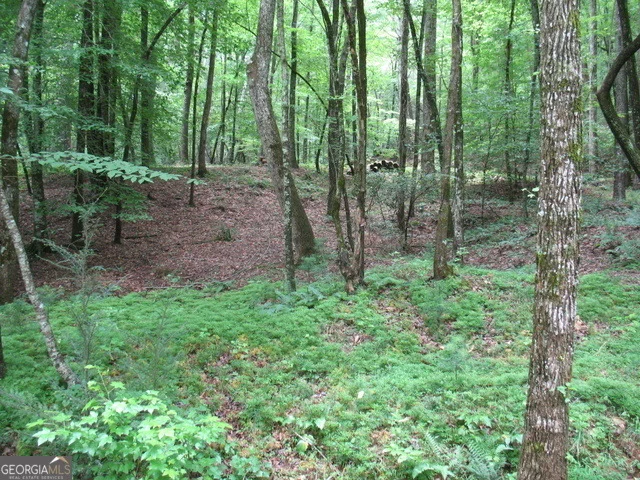 Photo of 6X Laurelwood