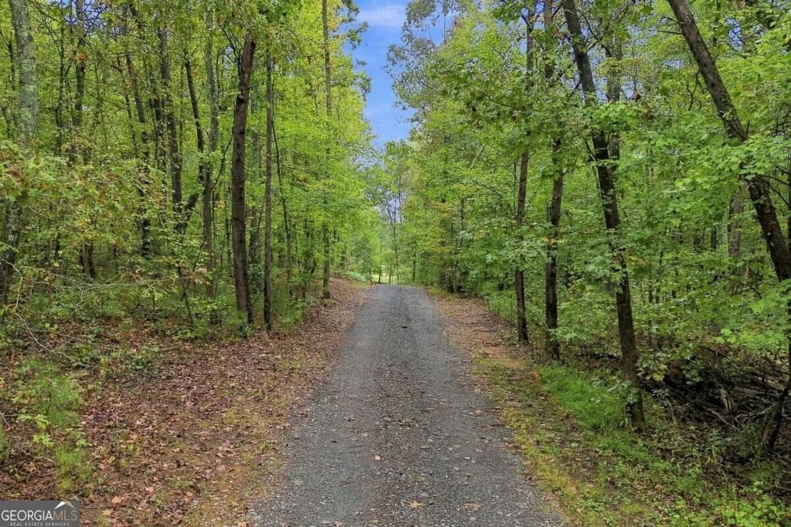 Photo of 445 Browning Road