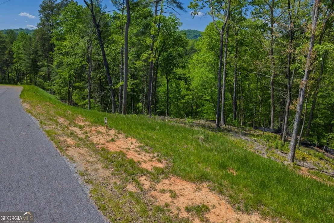 Photo of LOT 343 Shallow Branch Drive