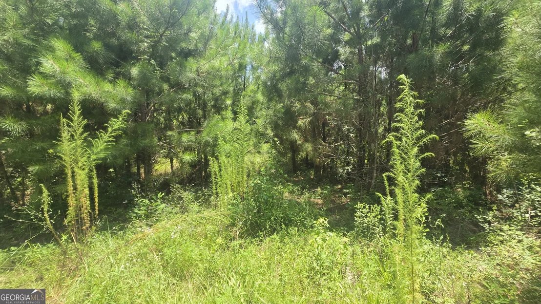 Photo of 0 East Highway 84 NE