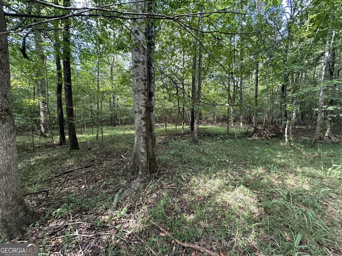 Photo of 119 Hough Johnson Road