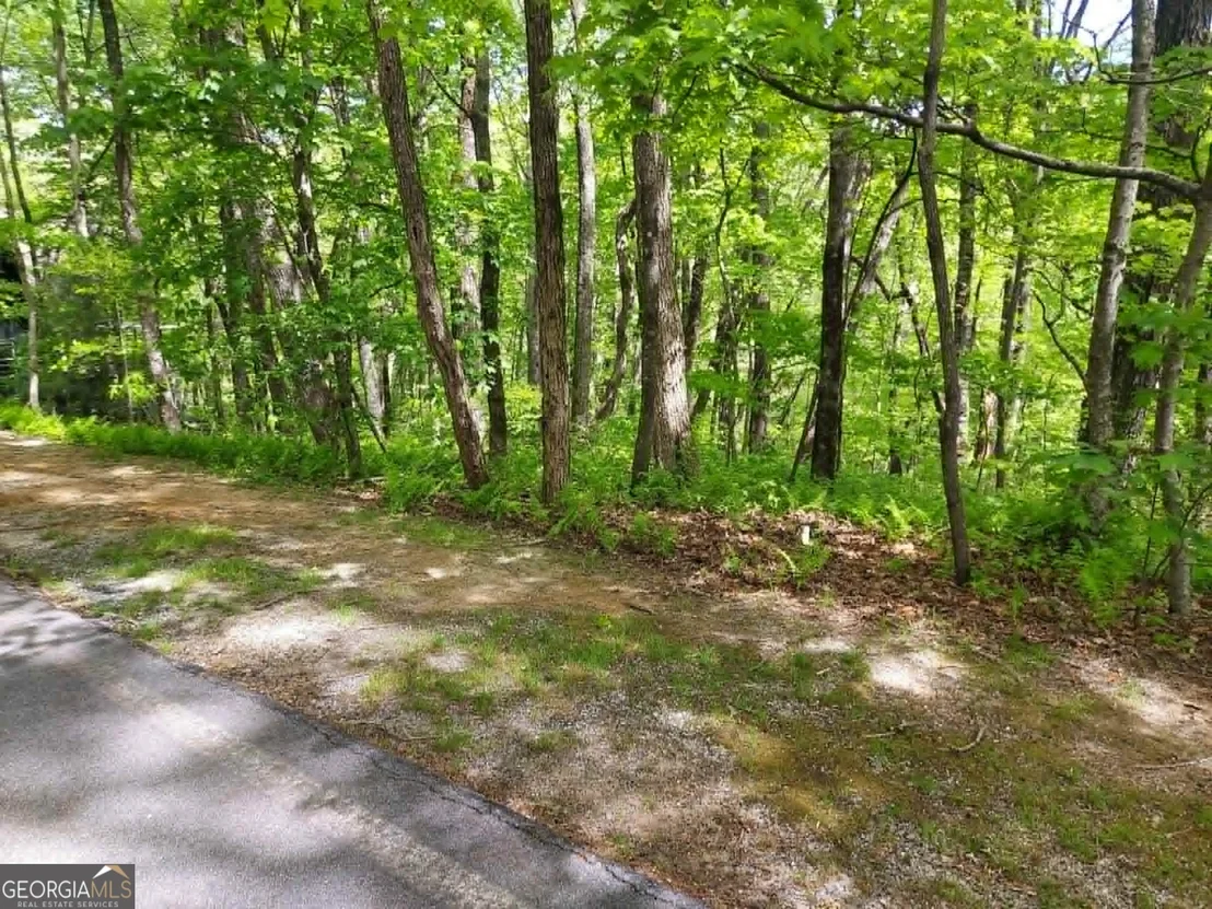 Photo of 0 LOT 5 Rebel Circle