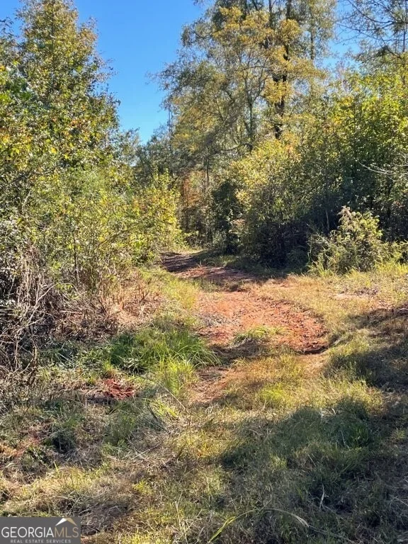 Photo of 0 Highway 36 E