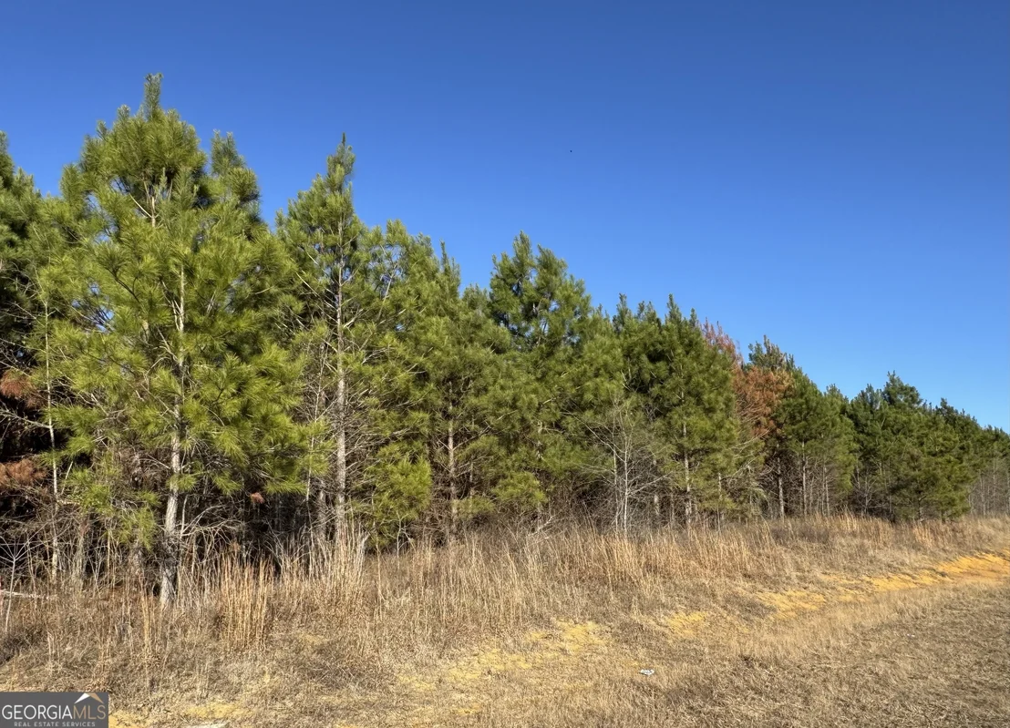 Photo of LOT 7A Whitfield Road