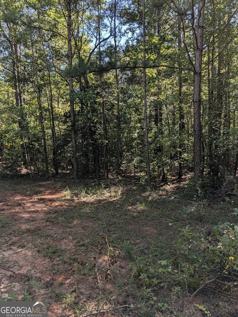 Photo of 0 CHAPPELL MILL Chappell Mill Road