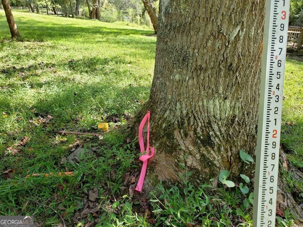 Photo of LOT 2 Preserve Road