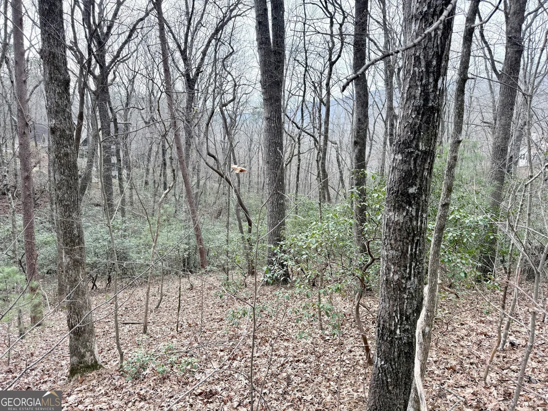 Photo of 0 Monarch Lane
