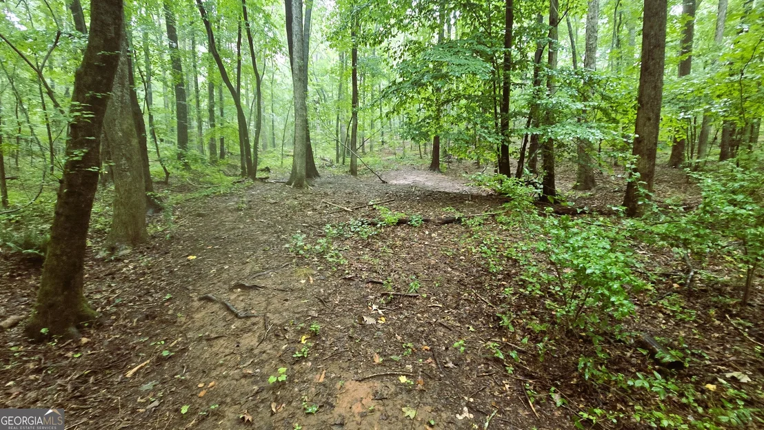 Photo of 3065 Smokey Road