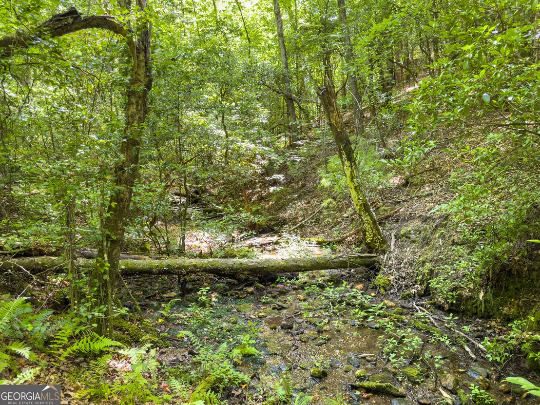 Photo of 0 White Pine Road