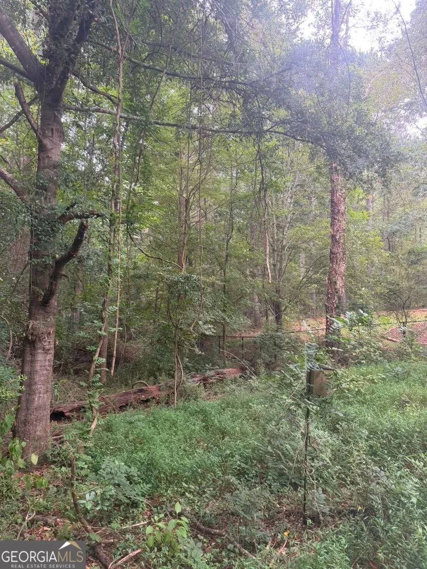 Photo of 822 Tabby Lane