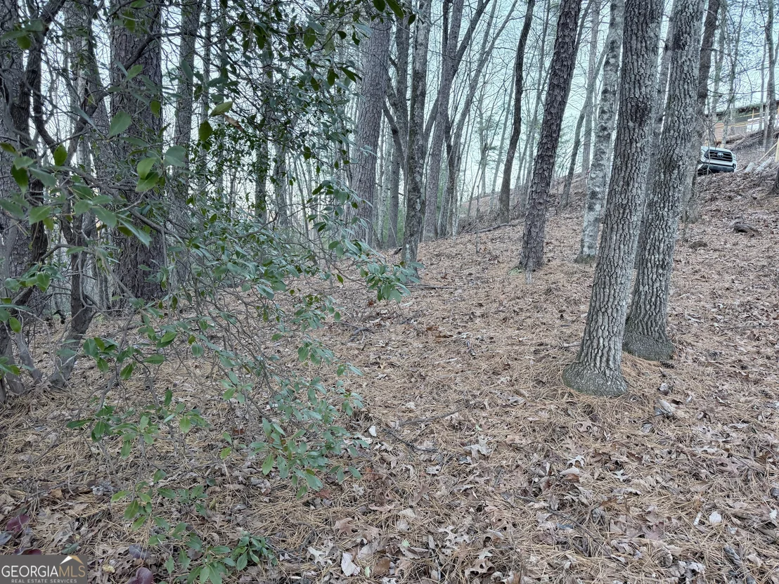 Photo of 0 Timber Bluff Drive